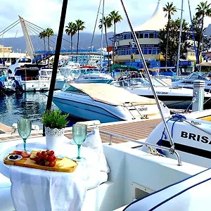 Barco Pita - Amarilla Marina Botel San Miguel de Abona